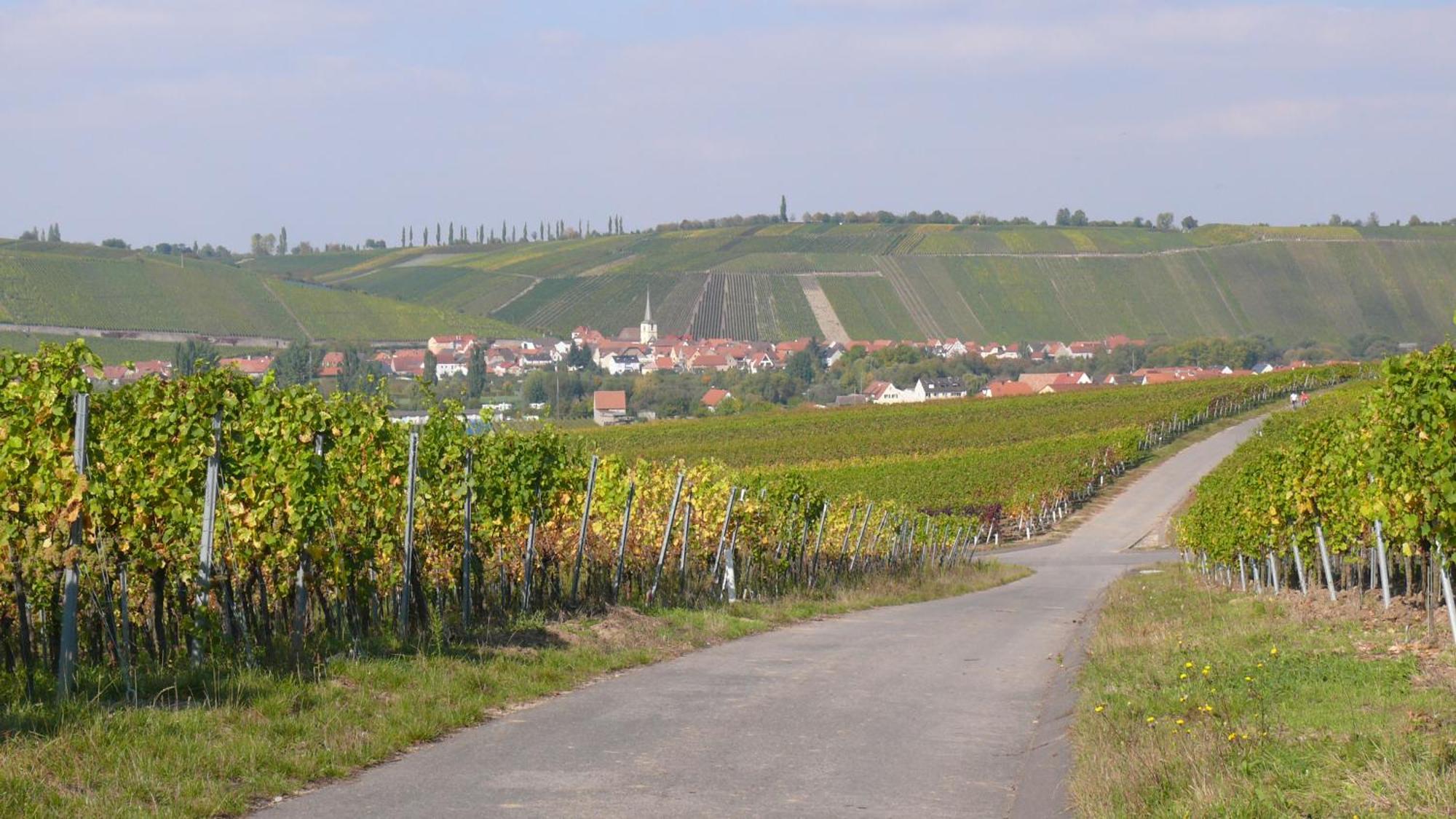 Weingut Herbert Kram Nordheim am Main ภายนอก รูปภาพ