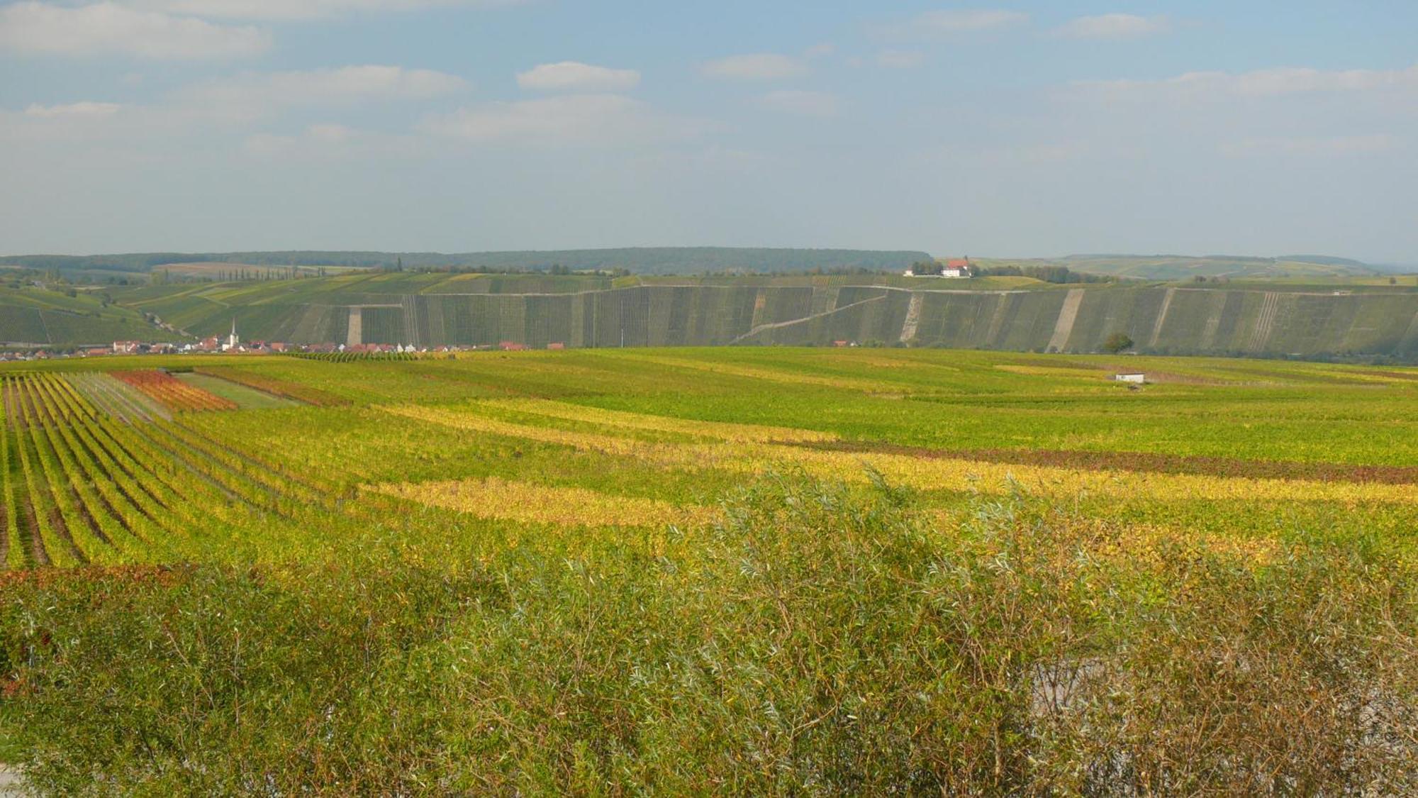 Weingut Herbert Kram Nordheim am Main ภายนอก รูปภาพ